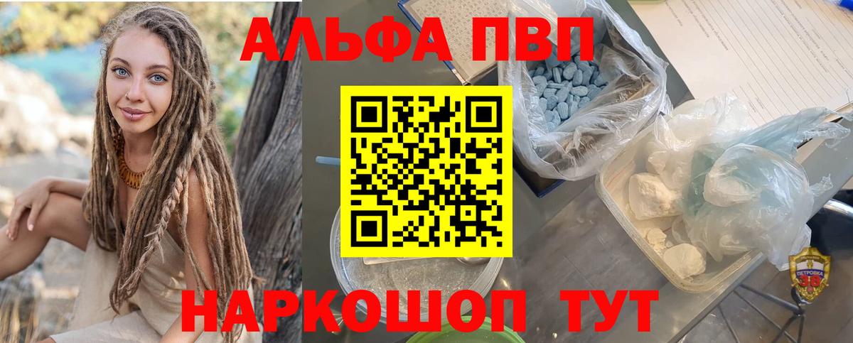 Alfa_PVP СК Гусиноозёрск