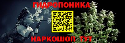 дмт Ставрополь
