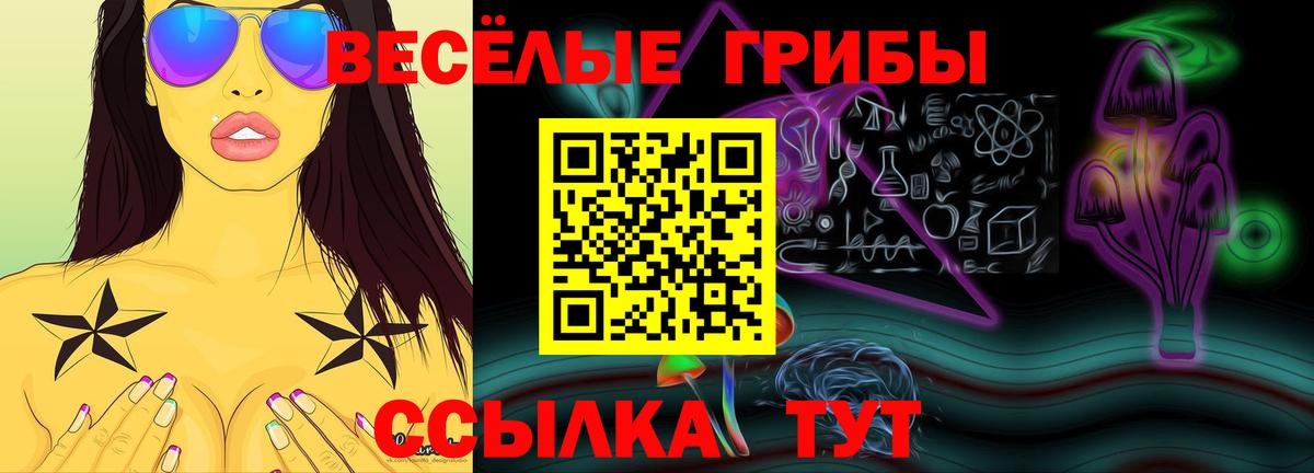 Галлюциногенные грибы мицелий  Вход с VPN  дарнет шоп  Гусиноозёрск 